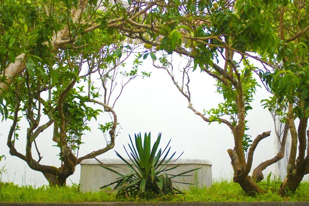 Casa Do Comendador Sao Roque do Pico Luaran gambar